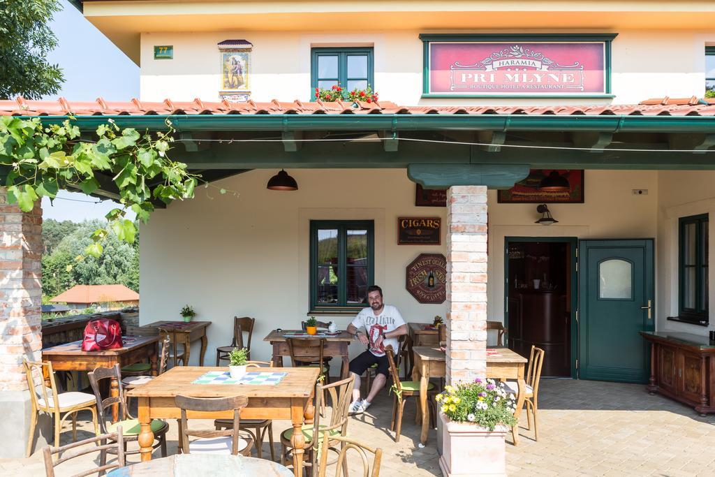 Boutique Hotel Pri Mlyne Лозорно Екстериор снимка