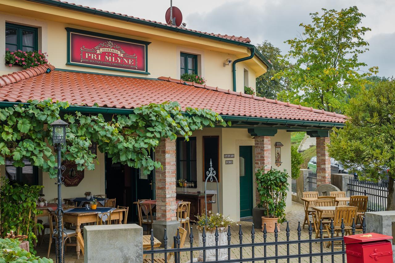 Boutique Hotel Pri Mlyne Лозорно Екстериор снимка